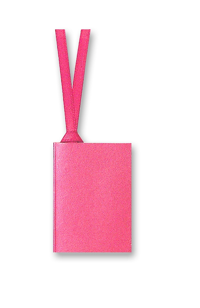 Pearlised Gift Tag With Ribbon - Penny Black