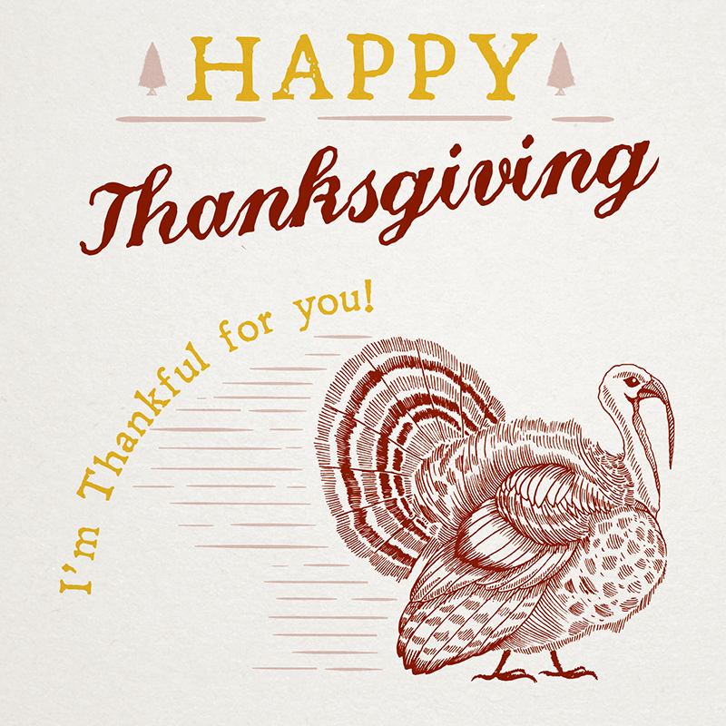 Im Thankful For You Greeting Card