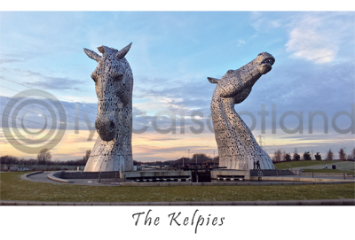Kelpies Daytime Postcard Greeting Card