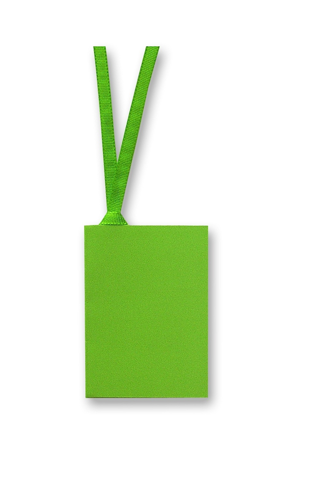 Gift Tag With Ribbon in lime green - Penny Black