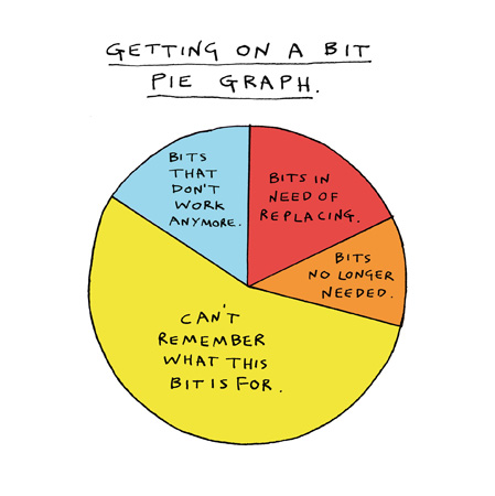 Getting On A Bit Pie Chart Funny Card by penny black