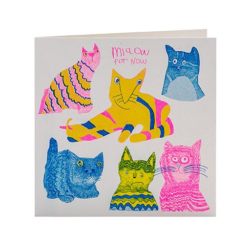 White greetings card with colourful hand drawn cats with funny looks on their faces, with the caption miaow for now at the top, handwritten in pink ink.