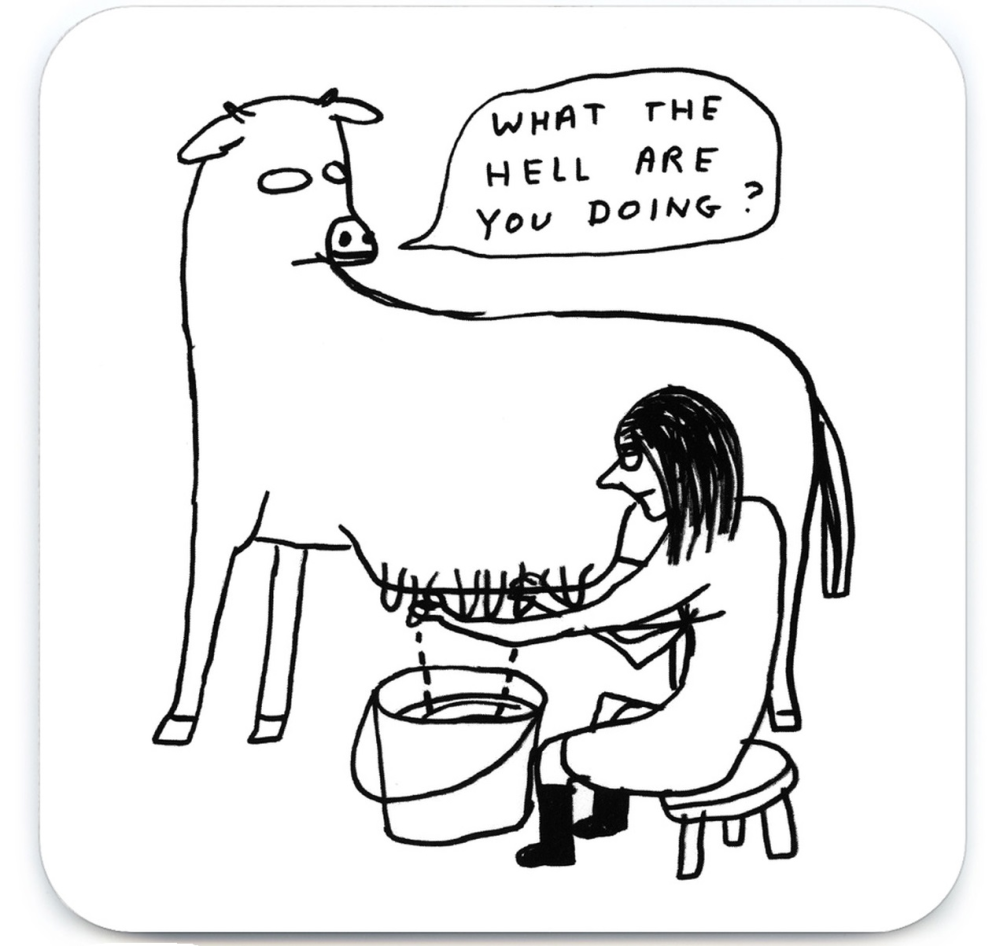 What The Hell Are You Doing David Shrigley Coaster by penny black