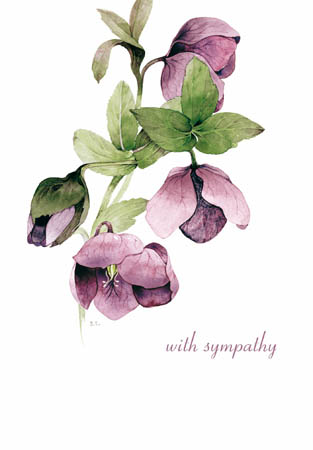 Purple Hellebore With Sympathy Card - Penny Black