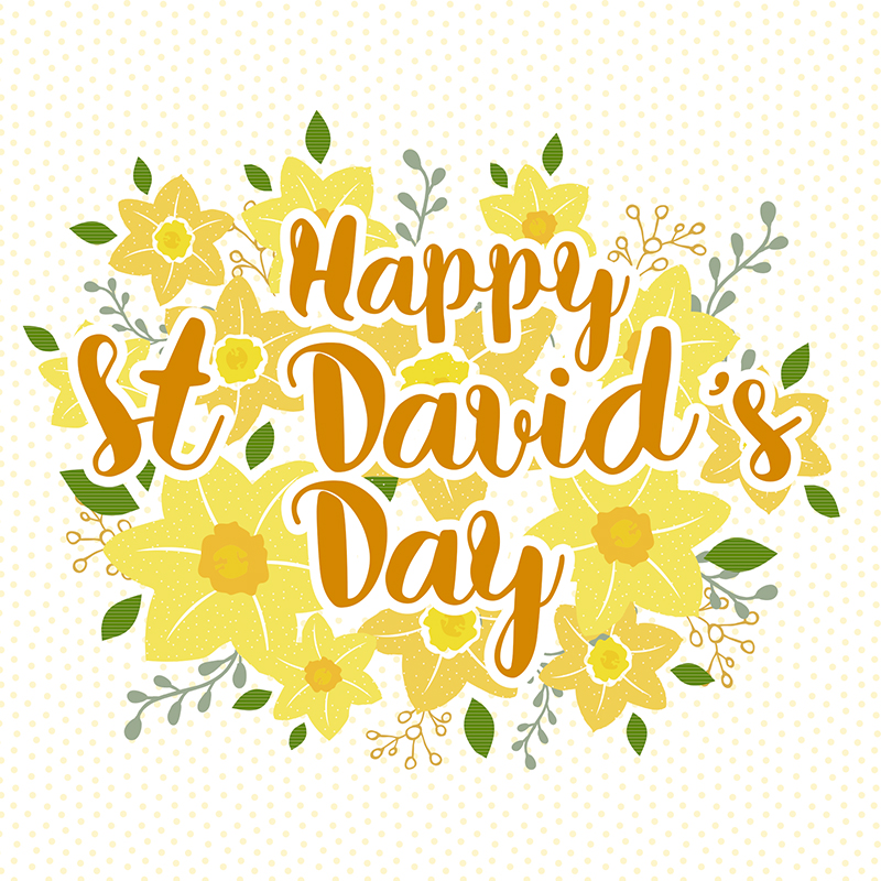 Daffodils St David's Day Card - Penny Black