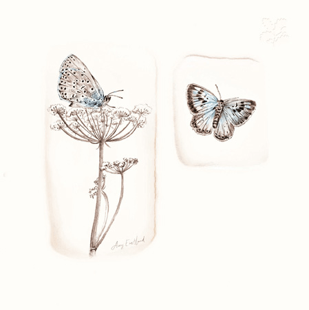 Blue Butterflies National Trust Illustrated Card - Penny Black
