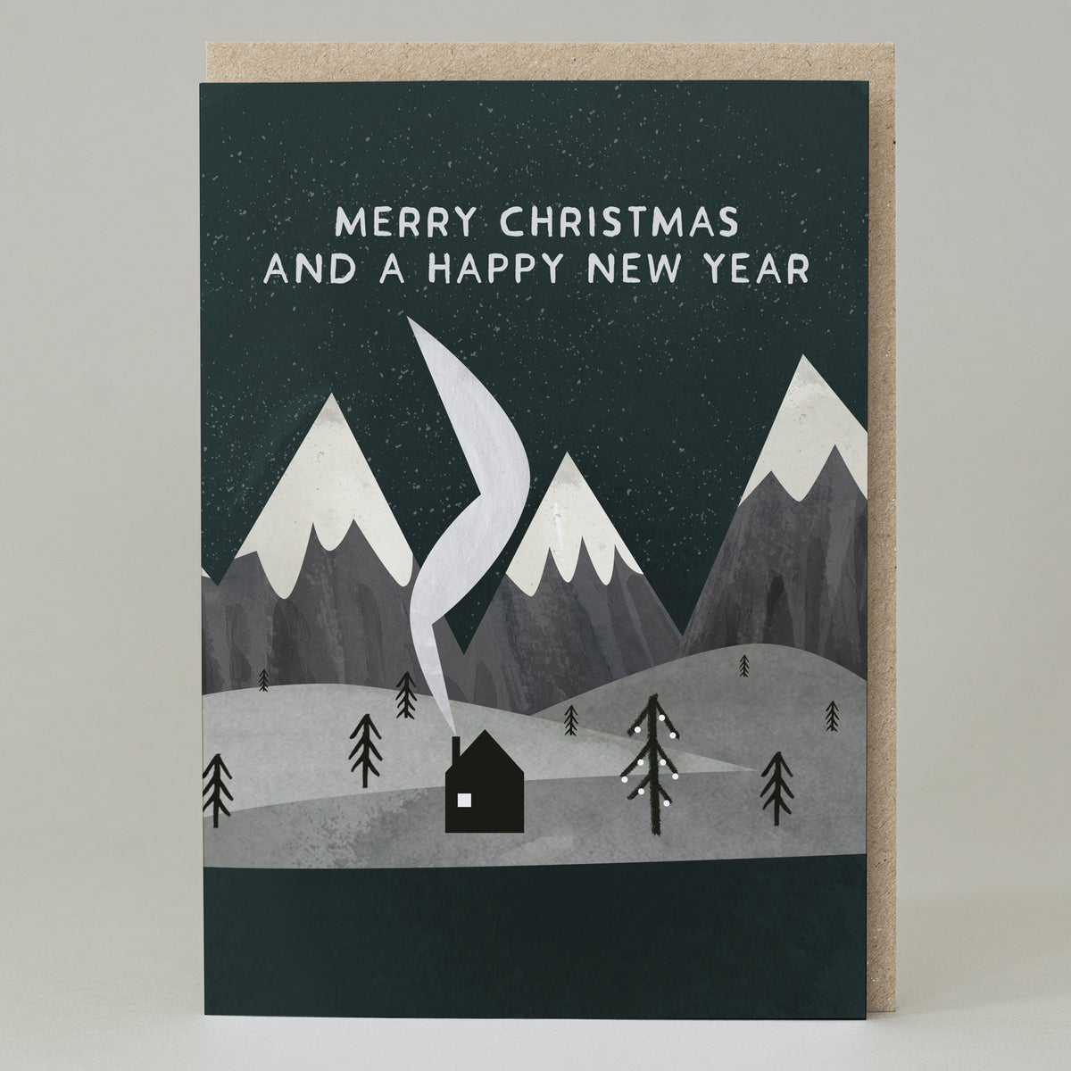 Merry Christmas and Happy New Year Card