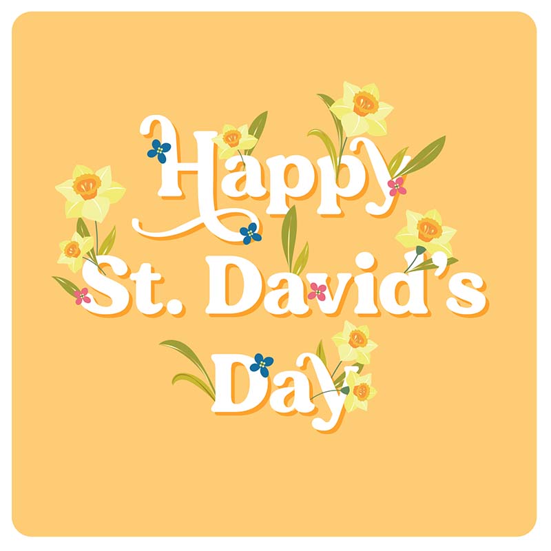 Pastel Yellow Daffodils Happy St David&#39;s Day Card