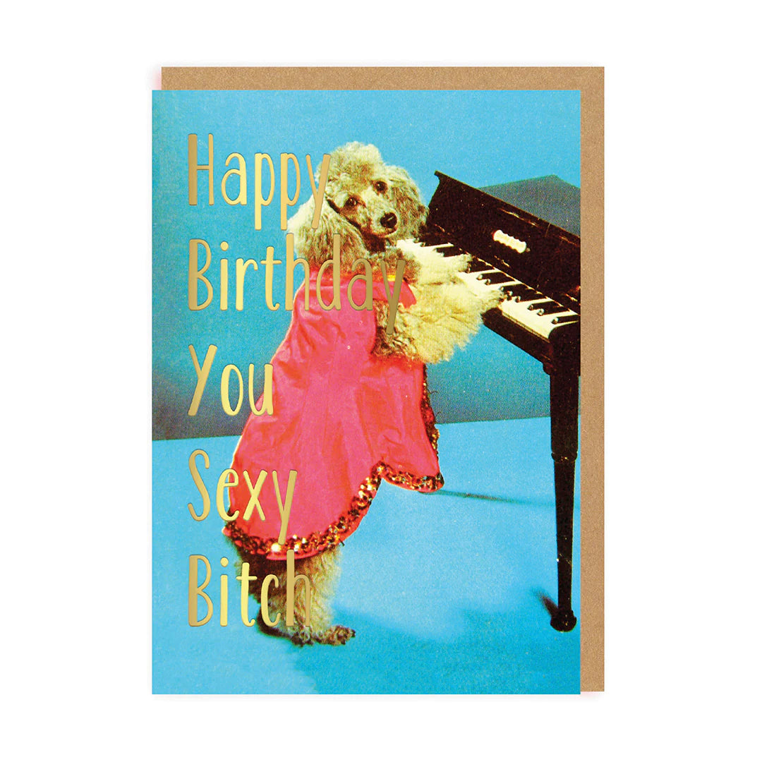 You Sexy Bitch Funny Birthday Card
