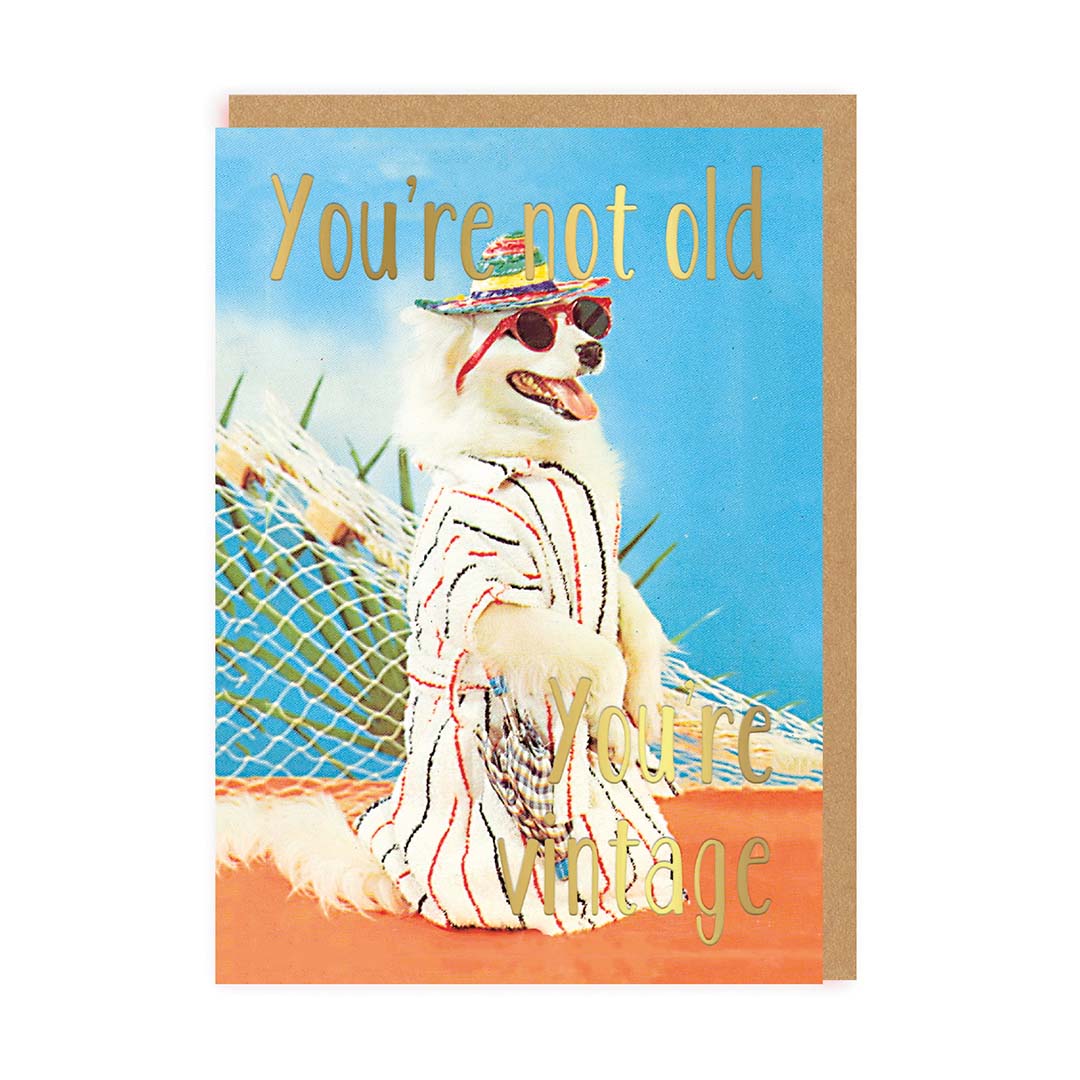 You&#39;re Vintage Dog Funny Birthday Card