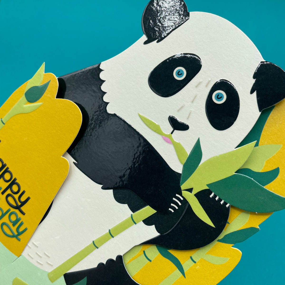 3D Fold-out Panda Raspberry Blossom Birthday Card