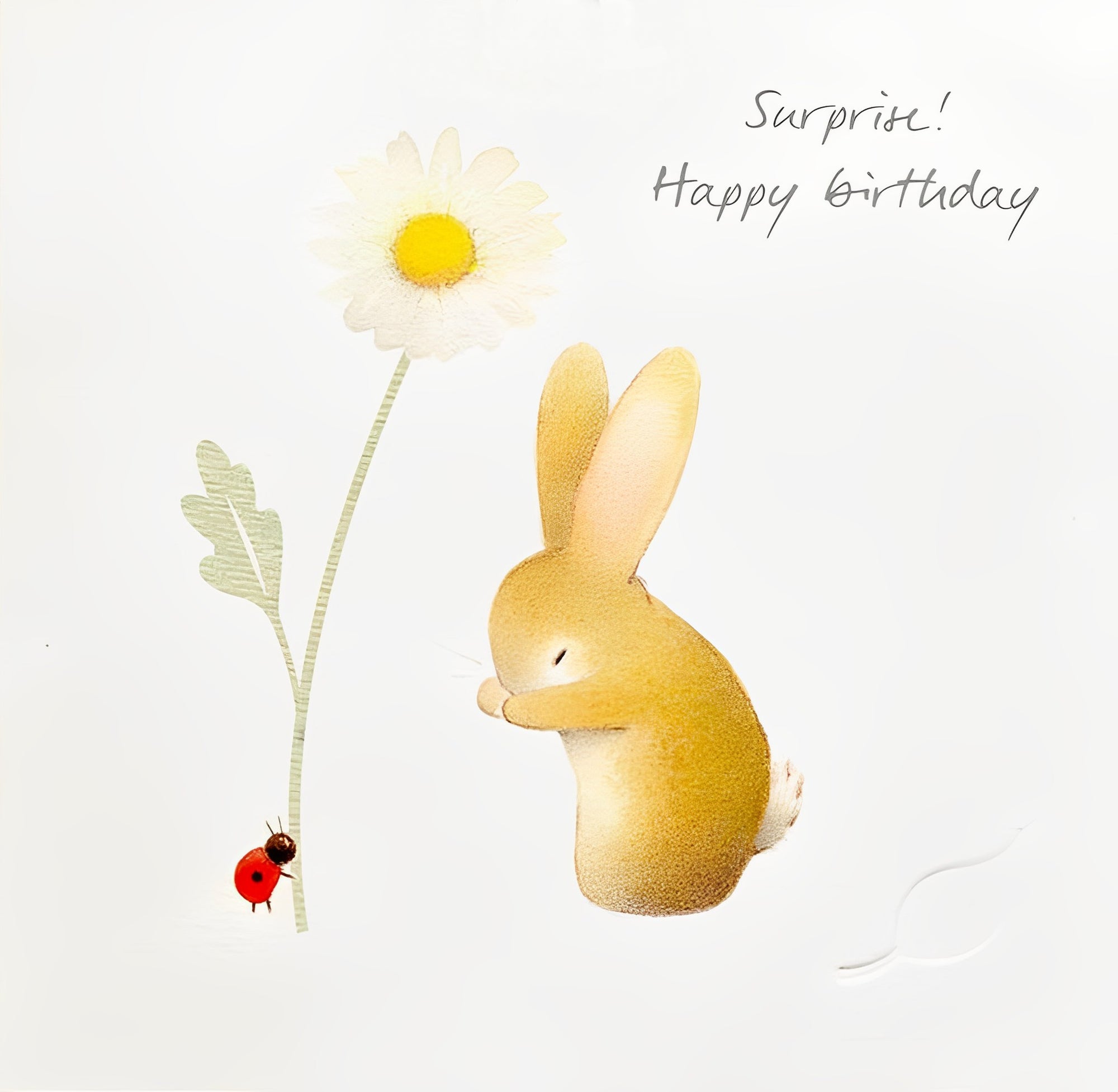 Bunny and Ladybird Surprise Kids Birthday Card from Penny Black