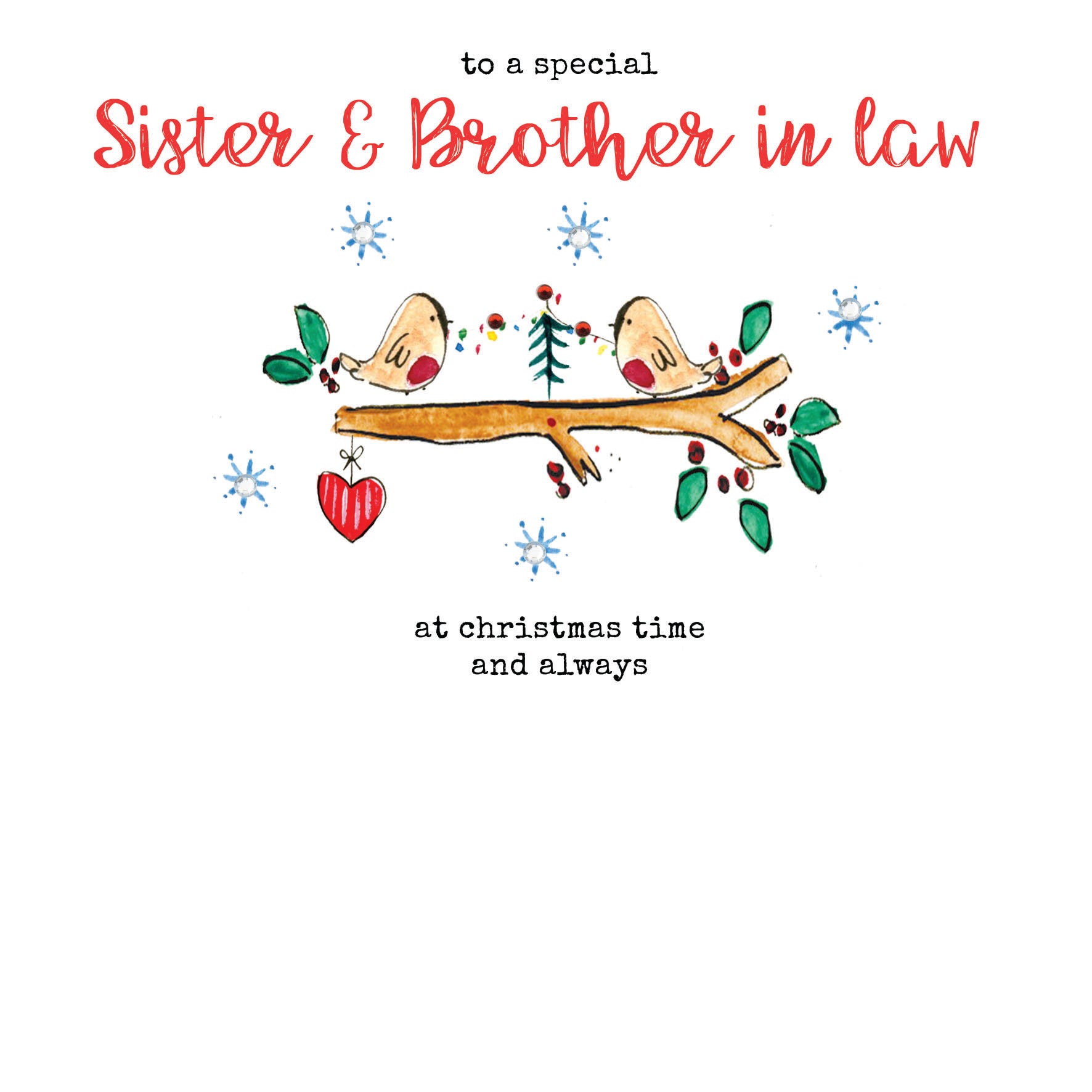 Special Sister & Brother In Law Robins Christmas Card from Penny Black