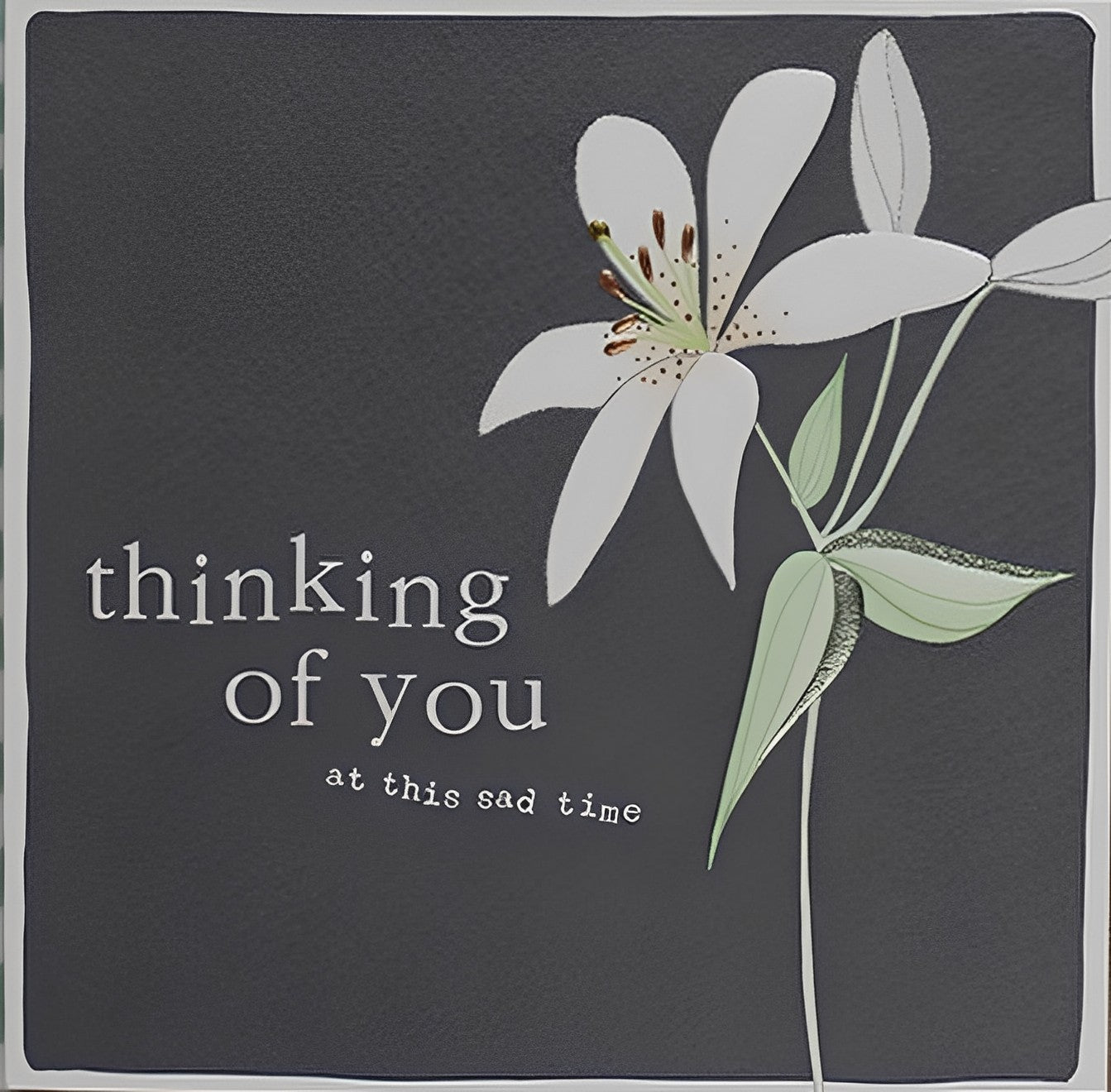 Thinking of You at this Sad Time Lily Card from Penny Black
