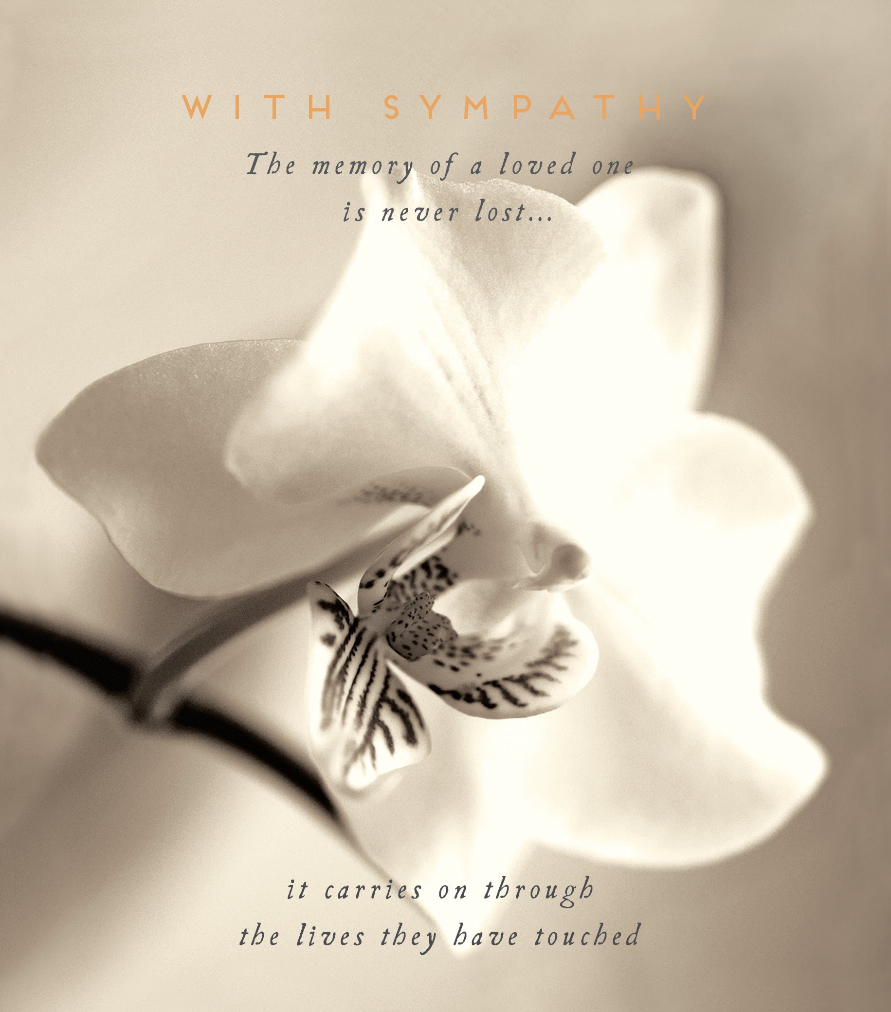 Memory of a Loved One Orchid Birthday Card from Penny Black