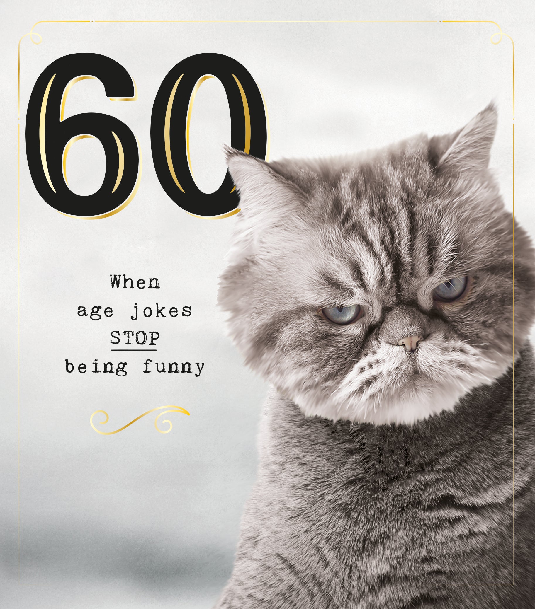 60 Age Jokes Funny Cat Birthday Card from Penny Black