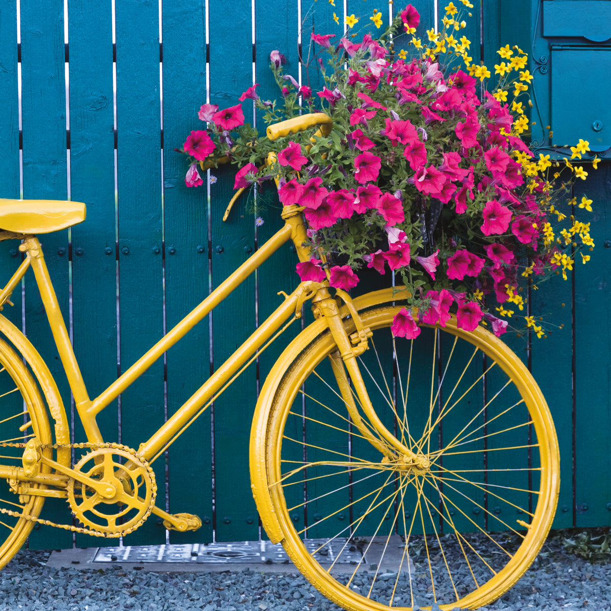 Ochre Floral Bicycle Photographic Card from Penny Black