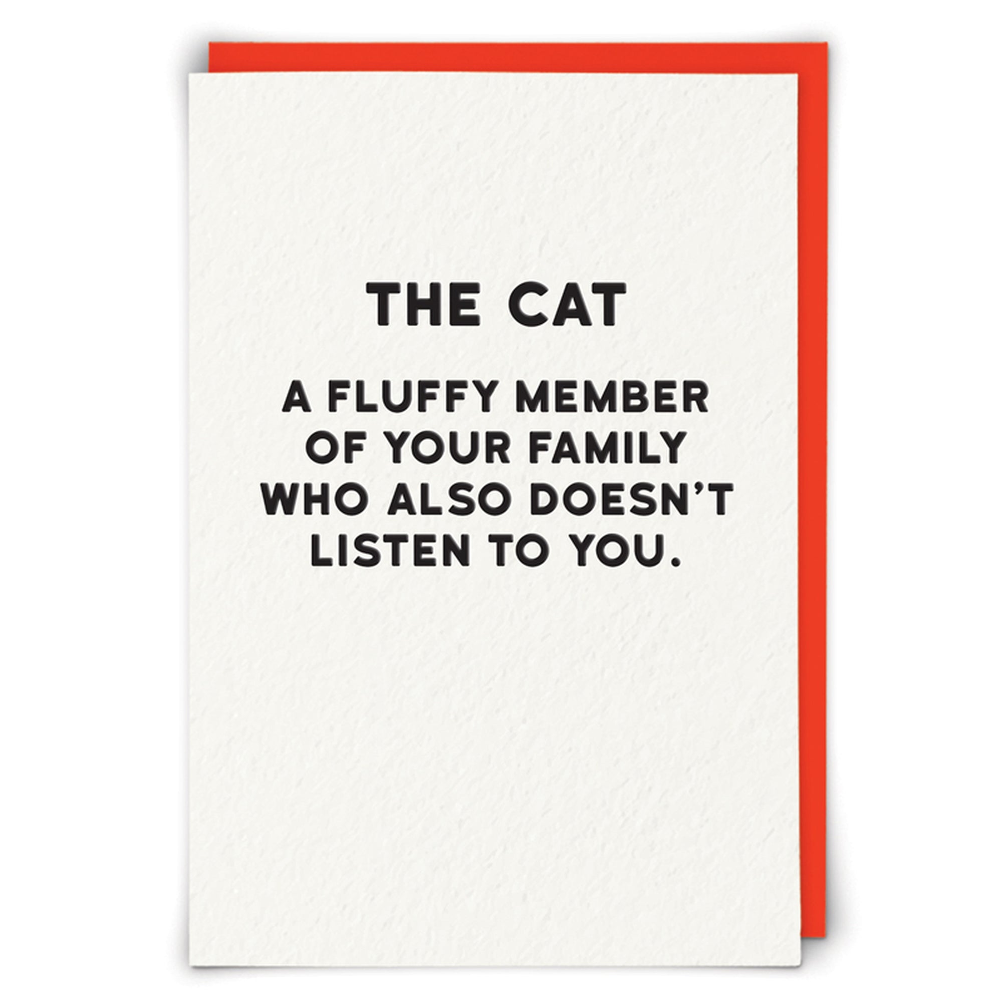 The Cat Doesn't Listen Funny Card from Penny Black