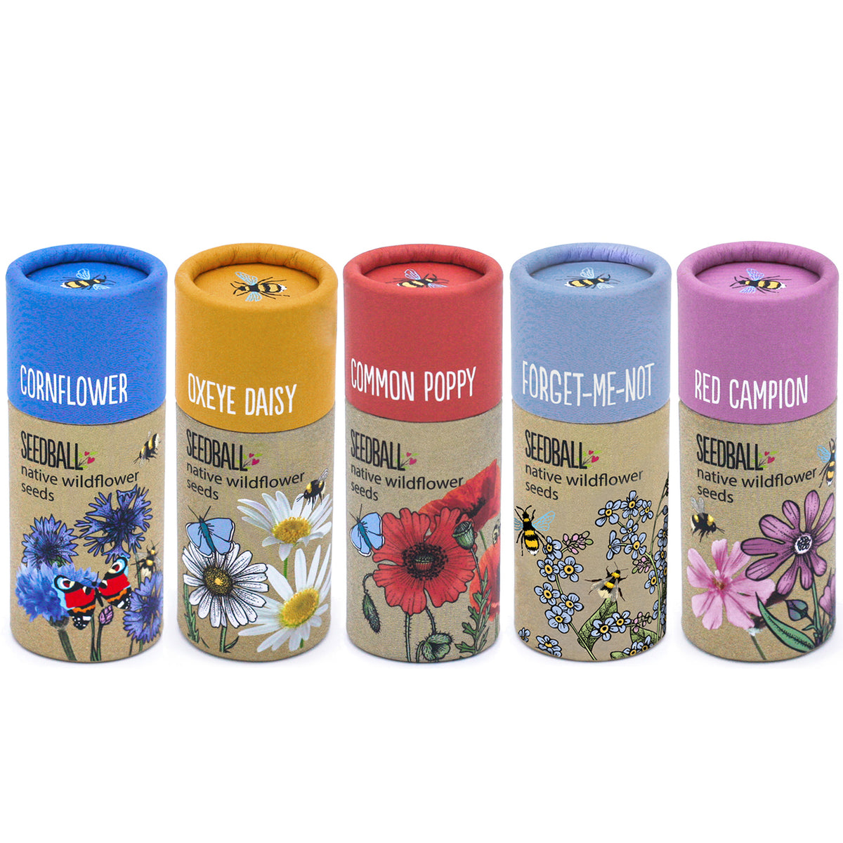 Wildflower Seedball Tubes