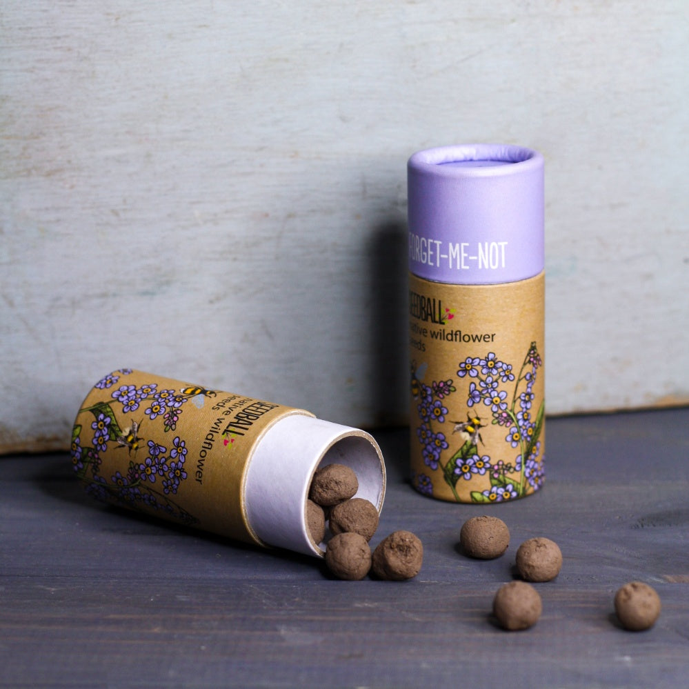 Wildflower Seedball Tubes